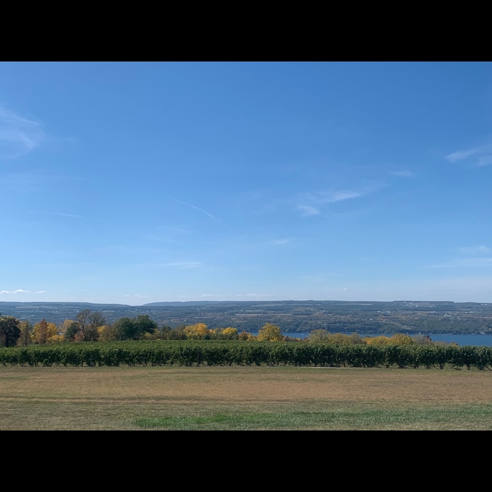 Meet your Posher, Jenika